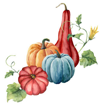 Ilustrace Watercolor pumpkins composition