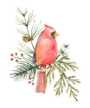 илюстрация Watercolor vector Christmas bouquet with Bird