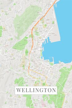 Mapa Wellington color