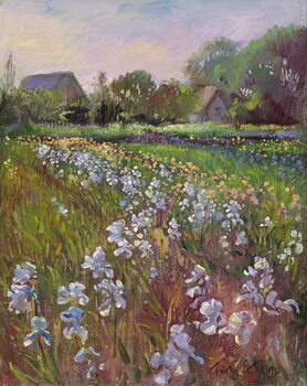 Konsttryck White Irises and Farmstead