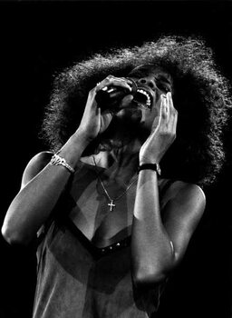 Konstfotografering Whitney Houston, 1988