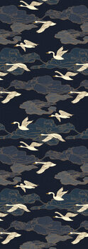 Ilustrácia Wild Swans Midnight