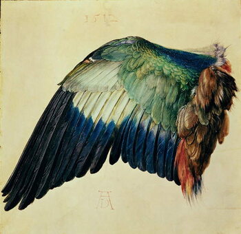 Konsttryck Wing of a Blue Roller, 1512