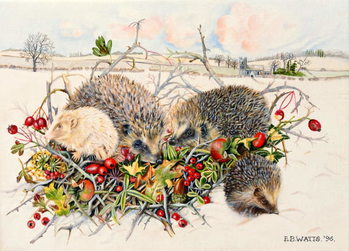 Canvastavla Hedgehogs in Hedgerow Basket, 1996