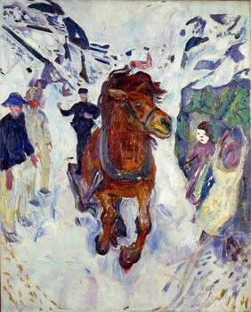Canvastavla Horse Gallop