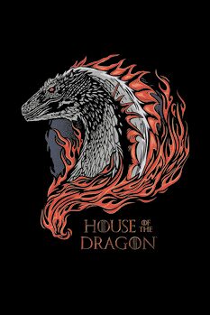 Canvastavla House of Dragon - Dragon in Fire