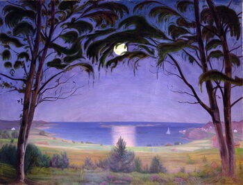 Canvastavla Moonlight, Nevlunghavn, 1922