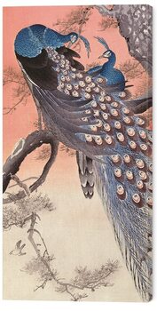 Canvastavla Ohara Koson - Two Peacocks on Tree Branch