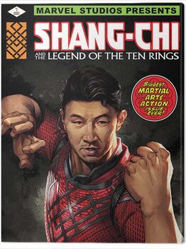 Canvastavla Shang Chi and the Legend of the Ten Rings
