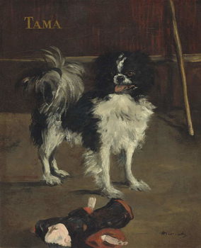 Canvastavla Tama, the Japanese Dog, c.1875
