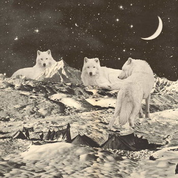 Canvastavla Three Giant White Wolves on Mountains