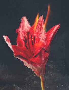 Canvastavla Combust, 2019