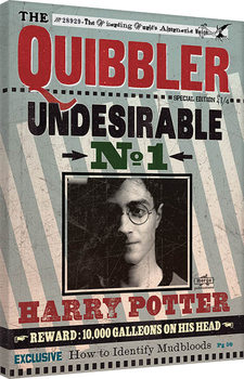 Canvastavla Harry Potter - Quibbler
