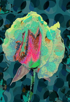 Canvastavla Tea Rose 4