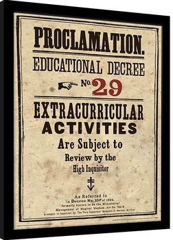 Gerahmte Poster Harry Potter - Educational Decree No. 29