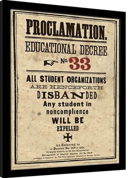 Gerahmte Poster Harry Potter - Educational Decree No. 33