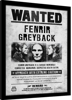 Gerahmte Poster Harry Potter - Fenrir Wanted