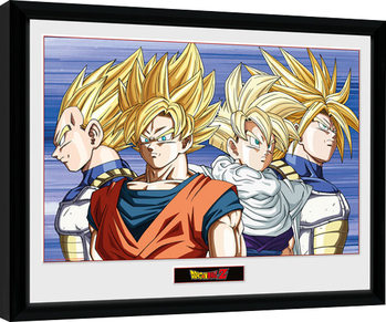 Dragon Ball Z - Group indrammet plakat