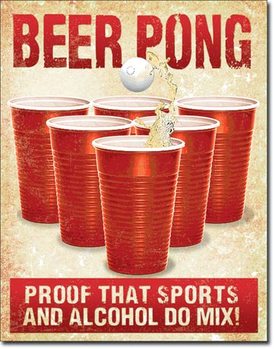 Metallschild Beer Pong