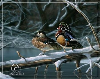 Metallschild DUCK UNLIMITED - interlude