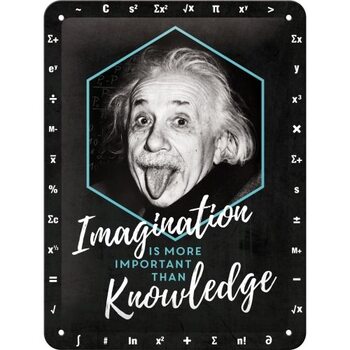 Metallschild Einstein Imagination & Knowledge