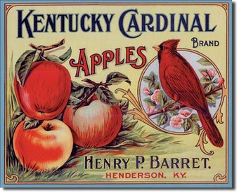 Metallschild KY CARDINAL APPLES