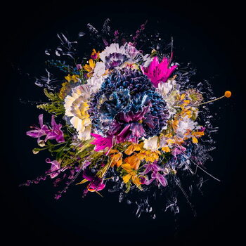 Obraz na plátně Bouquet III, 2018