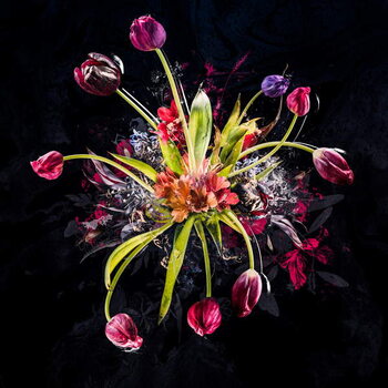 Obraz na plátně Bouquet XVIII, 2017