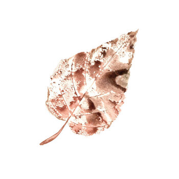 Adesivo murale Brown Poplar Leaf