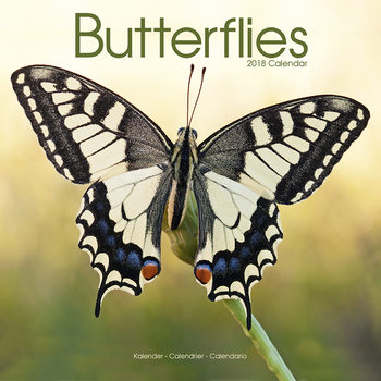 Calendar 2027 Butterflies