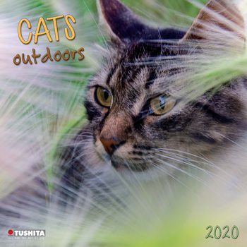 Calendar 2027 Cats Outdoors