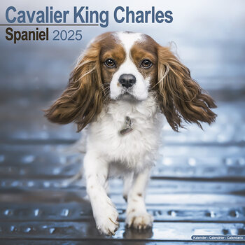Calendar 2027 Cavalier King Charles