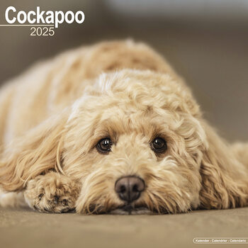 Calendar 2027 Cockapoo