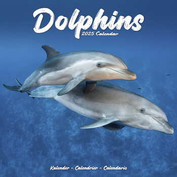 Calendar 2027 Dolphins