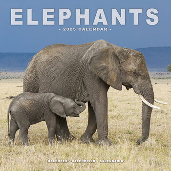 Calendar 2027 Elephants