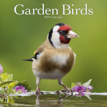 Garden Birds Calendar 2024
