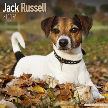 Calendar 2027 Jack Russell