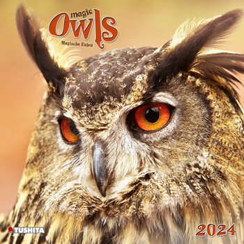 Magic Owls Calendar 2024