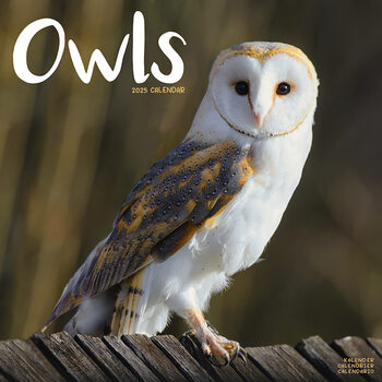 Calendar 2027 Owls