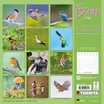 Calendar 2027 Păsări | 16 luni