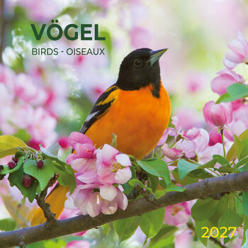 Calendar 2027 Păsări