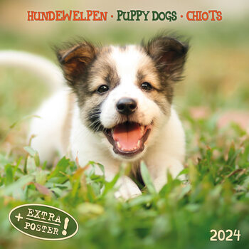 Puppy Dogs Calendar 2024