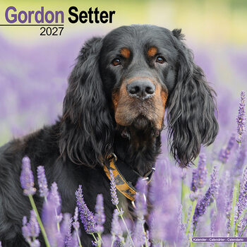 Calendar 2027 Setter Gordon