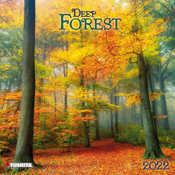 Deep Forest Calendar 2022