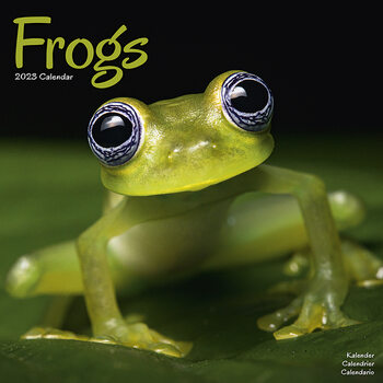 Frogs Calendar 2023