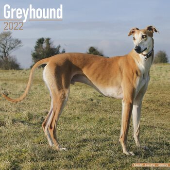 Greyhound Calendar 2022