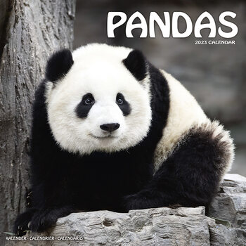 Pandas Calendar 2023