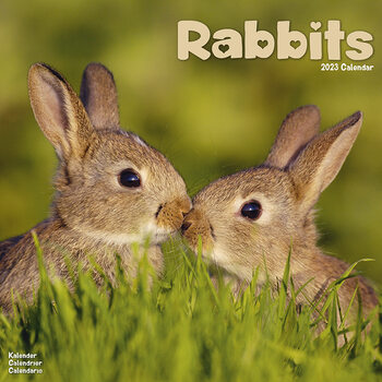 Rabbits Calendar 2023