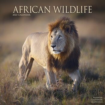 Calendario 2023 African Wildlife