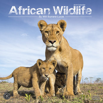 Calendario 2027 African Wildlife